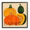 Stupell Industries Gather Autumn Harvest Gourds Framed Giclee Art
